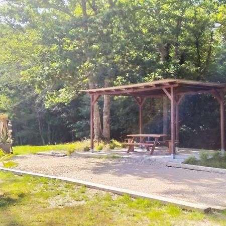 La Villa Minvia Les Landes Entre Mer Et Montagne Saint-Vincent-de-Paul  Eksteriør billede
