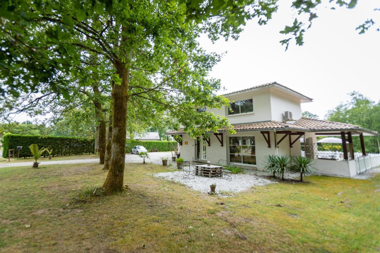 La Villa Minvia Les Landes Entre Mer Et Montagne Saint-Vincent-de-Paul  Eksteriør billede