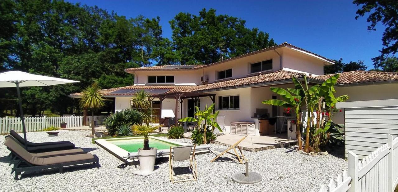 La Villa Minvia Les Landes Entre Mer Et Montagne Saint-Vincent-de-Paul  Eksteriør billede